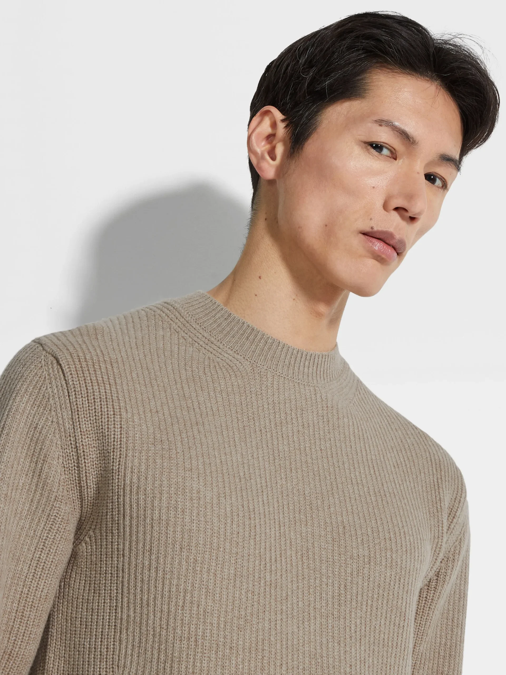 Travel In Style|Sweaters>ZEGNA Light Taupe Oasi Cashmere Crewneck LightTaupe