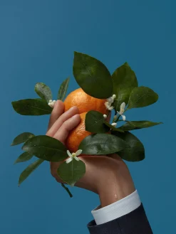 Small Gifts|Fragrances><noscript><img width=