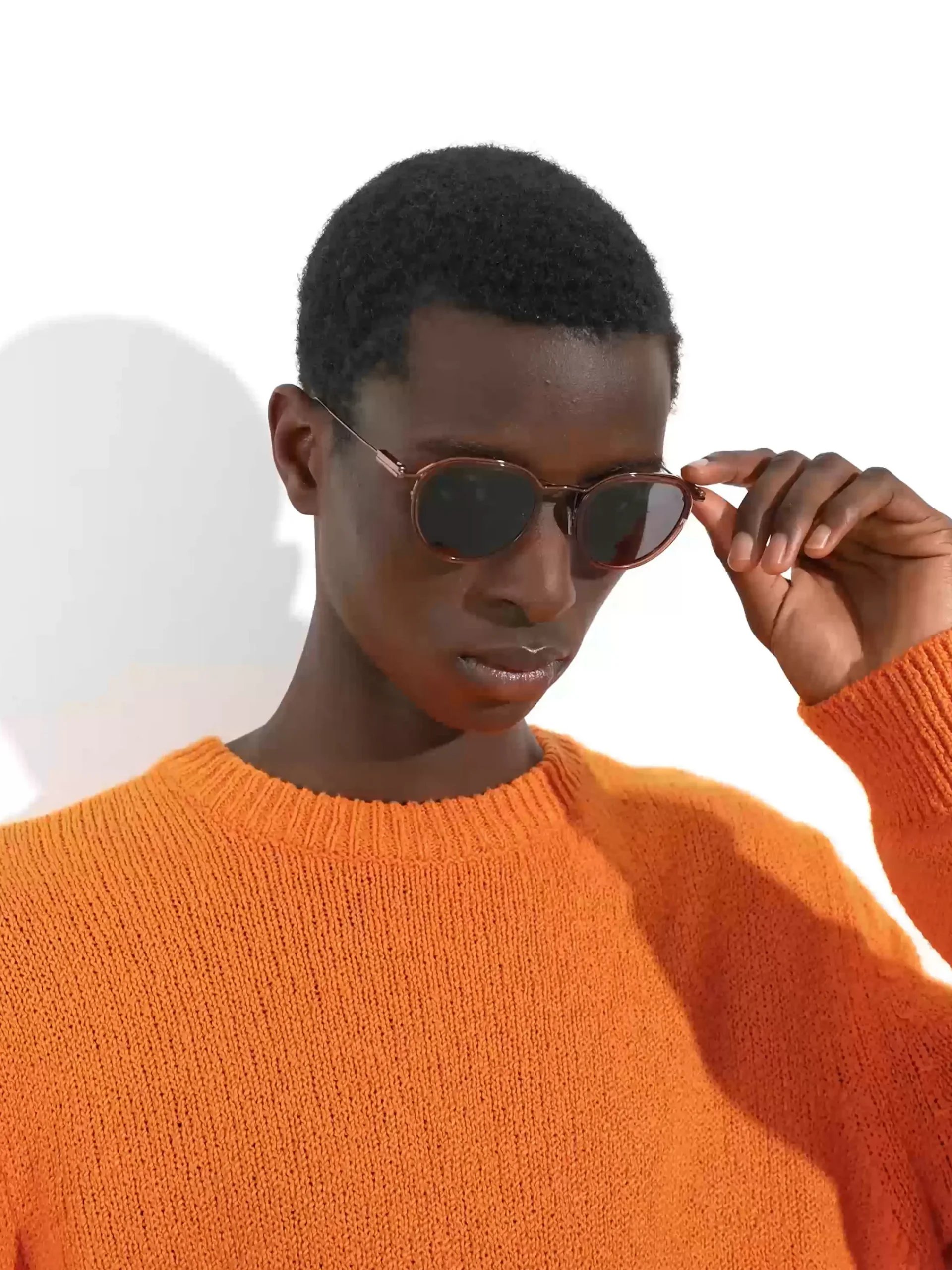 Sunglasses>ZEGNA Transparent Brown Acetate and Metal Sunglasses TransparentBrown